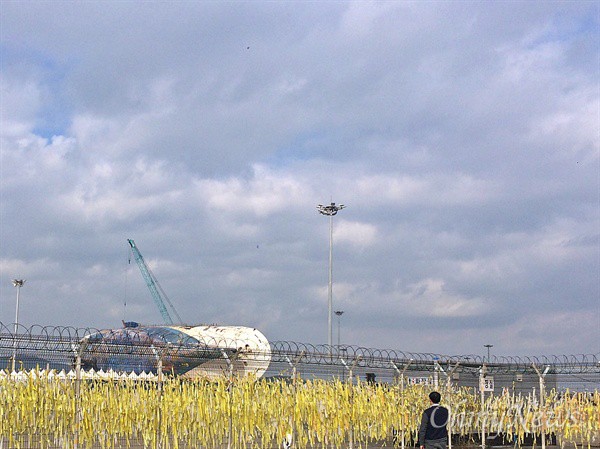 Sau 4 năm ròng rã, 5 gia đình nạn nhân cuối cùng trong vụ chìm phà Sewol đồng ý dừng công việc tìm kiếm